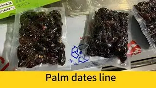 Palm dates washing sorting drying packing line