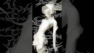 UNIT KAI - fade with time