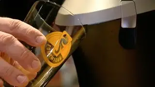 Fox8 Foothills Brewing Fizzics