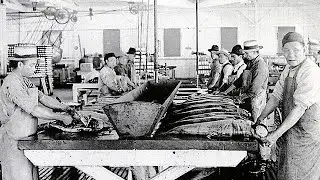 Cannery Days at Knappton Cove