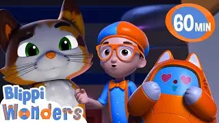 Blippi meets Kipley the Calico Cat ! | Blippi Wonders Educational Videos for Kids
