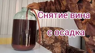 Домашнее вино из винограда | снятие вина с осадка после брожения