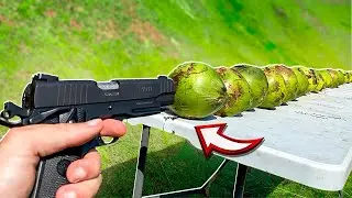 Quantos Côcos Param um Tiro de Pistola cal .45 ??