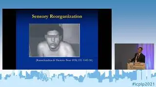 ICPLP2021 - Prof. Tsao: Changing Notions of Phantom Limb Pain