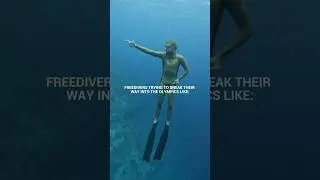 Freediving to the Olympics? 😋