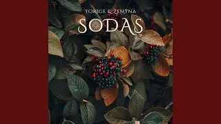 Vakaras