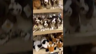 BAS PRO SHOP HAS THE SPRINGER SPANIEL!! AND SO MANY MORE DOUGLAS DOGS