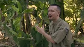 Perennial Vegetables Workshop @ECHO - Eric Toensmeier