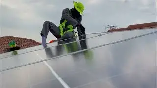 Why do we need to bird proof your solar Panels with Lopiletech