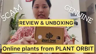 When I purchase plants Online/Reaction/Review/Cheap/Expensive/Honest feedback