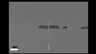 3 SE Texas Hogs - Thermal Hunt