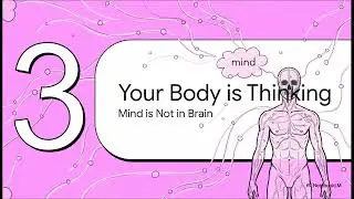 Day 3 - The Mind Body Network - The mind and body are not separate