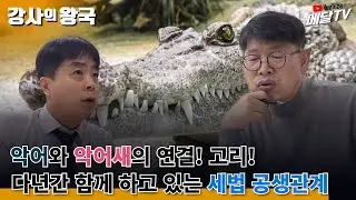(강사의 왕국) 악어와 악어새의 흥미로운 공생관계 ㅣ세법 개정 검수 스케치 [메달TV]