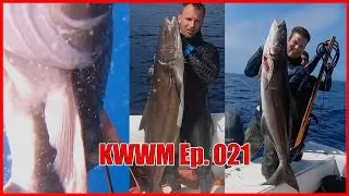 COMMERCIAL SPEARFISHING | $500 Day Chasing Monster Cobia | Key West Waterman Ep. 021