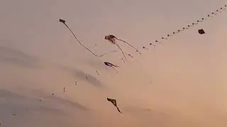 #international#kite #festival#food festival#sweet festival