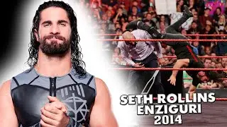 Seth Rollins - Enziguri Compilation 2014