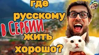 Where can an emigrant live well in Serbia?