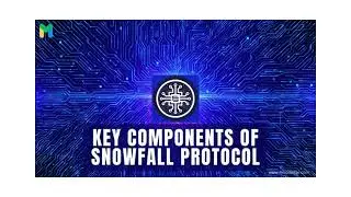 What is Snowfall protocol?#shorts