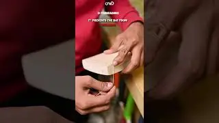 The CRUCIAL steps in maintaining your bat 💪🔥#shortsyoutube #shorts_video #cricketshorts #shorts