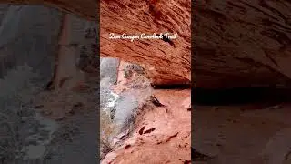 Unbelievable Zion Canyon Views! Hike the Overlook Trail for a Surprise...