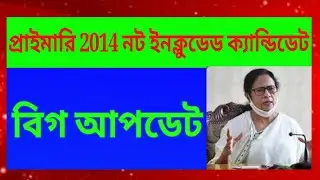 primary 2014 not included news update, primary news update