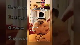 6 лучших моментов с ежами, которые заставили нас смеяться!