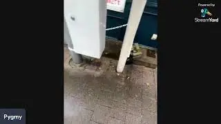 Heightism rant in Japan again