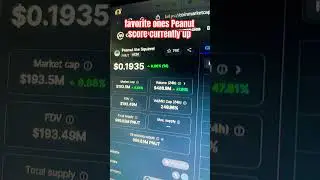 peanut the squirrel pnut crypto price prediction #fyp