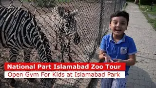 Islamabad Zoo Visit | Affan Loved to visit Dino Park at Islamabad National Park | Media Mart