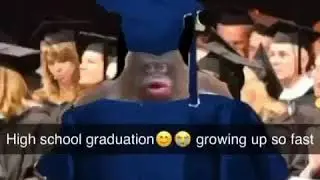 Le monke growing up