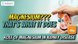Exploring The Role Of Magnesium In Kidney Disease | Magnesium & Kidney Disease