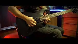 Schecter Damien-6 Satin Black