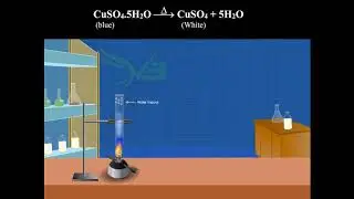 Hydrated Salt | Experiment | Animation