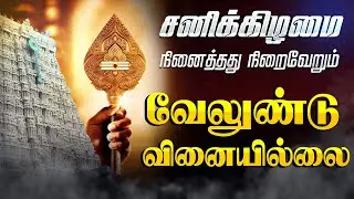 🔴LIVE SONGS | தை செவ்வாய்க்கிழமை அன்று கேட்க வேண்டிய வேலுண்டு வினையில்லை Murugan Song Tamil