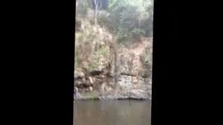 Cedar Creek Falls Cliff Jumping! Samford, Australia.