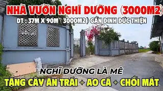 Nhà Vườn Nghĩ Dưỡng (3000m2) Gần Bình Chánh Có Cây Ăn Trái Bán Giá Rẻ | Trường Sơn Bình Chánh