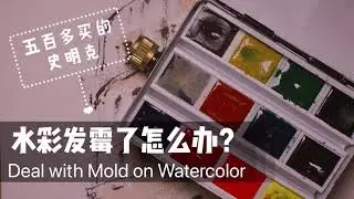 吐槽五百多买的史明克！水彩发霉怎么办？