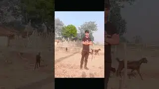 rajmansingh