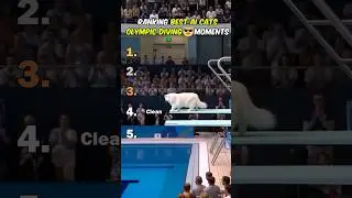 Ranking Best AI Cats Olympic Diving Moments