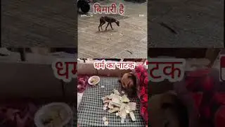 हिन्दू धर्म का#vicky official mjak बना rkha #india #hindu #viralvideo
