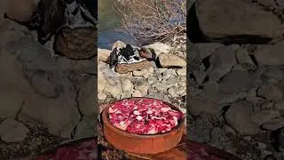 😍Delicious Camping Combo🔥Clay Pot Oxtail Ribs & Lamb Neck🥩 #asmr #cooking