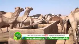 WAXKA BARO DEEGAANKA SHAXDA