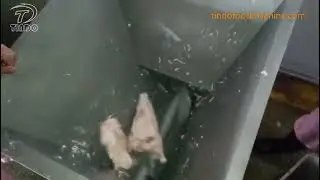 frozen meat grinder