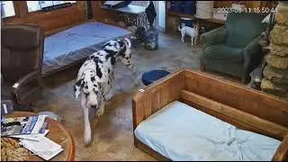 Office premc Wanda Sizz jim Larky Carly then Carlene too 8112023