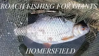 Lake of Giants - Homersfield - Land Of Giant Roach - Phil Spinks - Preview