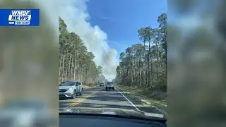 Nearly 7-acre Horry County wildfire 100% contained, SCFC says