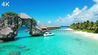 Turquoise Breeze 🌊 Tropical Paradise Music | Relax & Escape💙 Relaxing Tropical Music