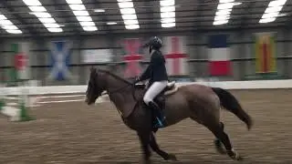 Aughnacliffe Gem, British Novice, Morris Equestrian