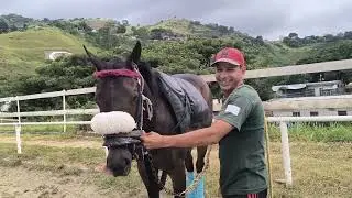 ENTREVISTA con el Caballerizo de SPECIAL ELEMENT, JOSÉ GREGORIO MANO / #LARINCONADA 24-9-2025