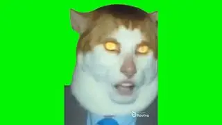 Monday left me broken cat meme (green screen)